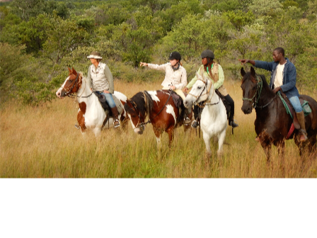 Horse and Hippo Safari